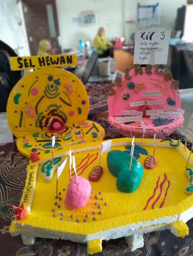 Praktek Membuat Model Sel Hewan dan Sel Tumbuhan